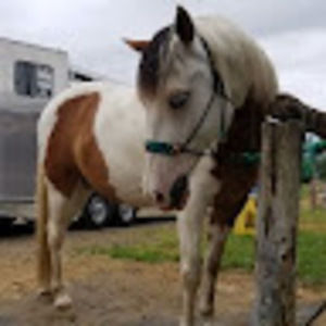 Meet your Posher, Cara-lyna